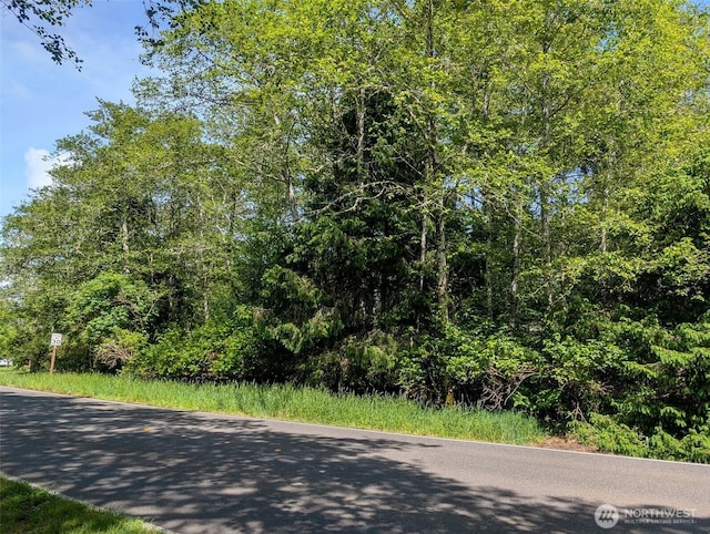 242 Duck Lake Dr NE, Ocean Shores, WA 98569
