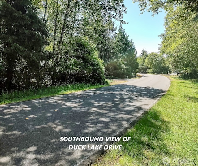 242 Duck Lake Dr NE, Ocean Shores, WA 98569