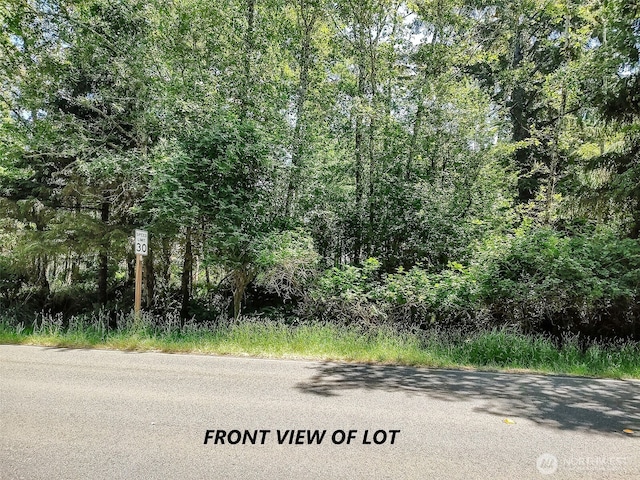 242 Duck Lake Dr NE, Ocean Shores, WA 98569