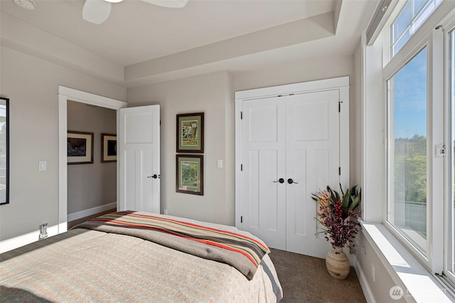 656 Daley St Unit 102, Edmonds, WA 98020 - bedroom with multiple windows, carpet floors, and a closet