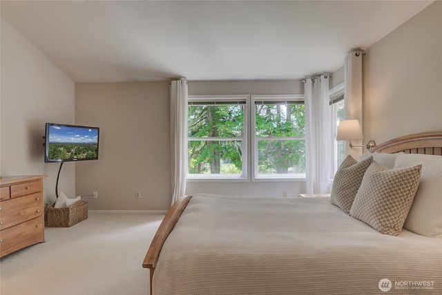 18915 SE 284th Ct, Kent, WA 98042 - carpeted bedroom featuring multiple windows and baseboards