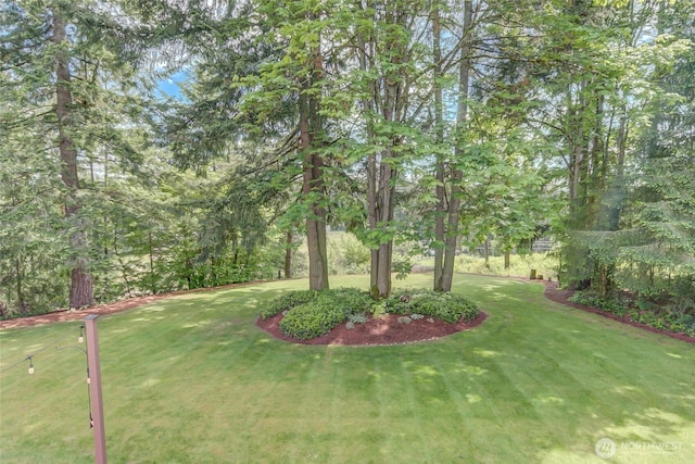 18915 SE 284th Ct, Kent, WA 98042 - view of grassy yard
