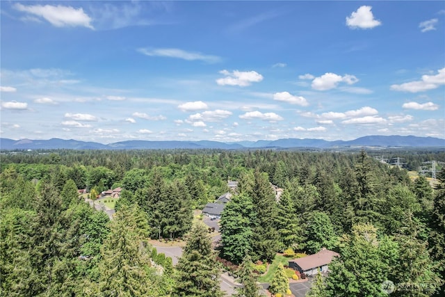 18915 SE 284th Ct, Kent, WA 98042 - aerial view of a forest and mountains