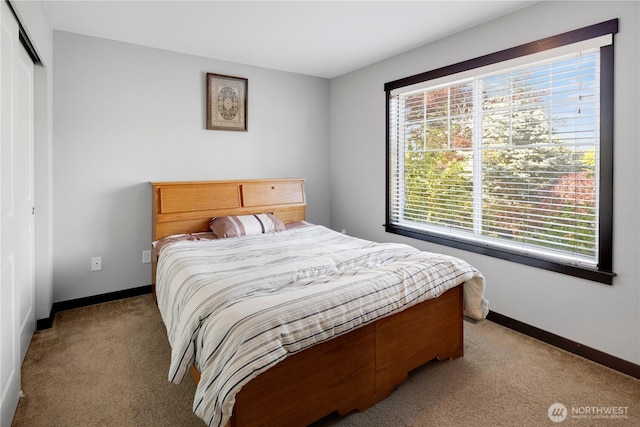 1875 Mckinley St, Ferndale, WA 98248 - bedroom featuring light carpet, baseboards, and a closet