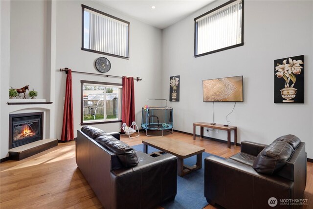 1875 Mckinley St, Ferndale, WA 98248 - living area with a high ceiling, wood finished floors, and a glass covered fireplace