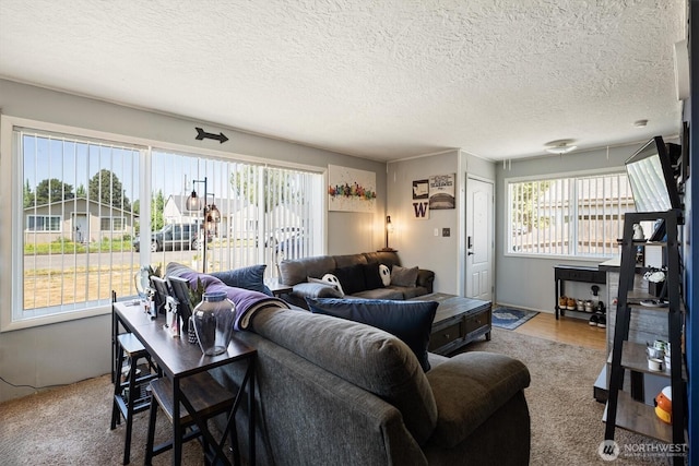 260 Baltimore St, Longview, WA 98632 - living area featuring a textured ceiling
