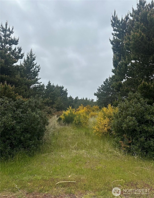 723 S Sand Dune Ave SW, Ocean Shores, WA 98569