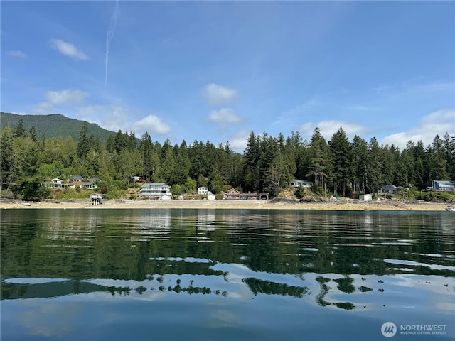 160 N Triton Head Dr, Lilliwaup, WA 98555 - photo 13