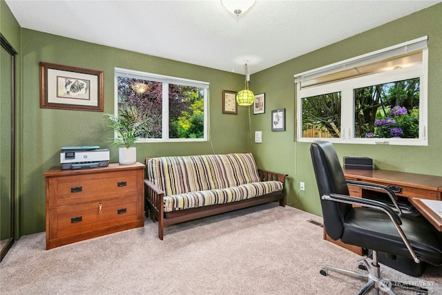 13911 Meridian Ave N, Marysville, WA 98271 - office area featuring carpet flooring