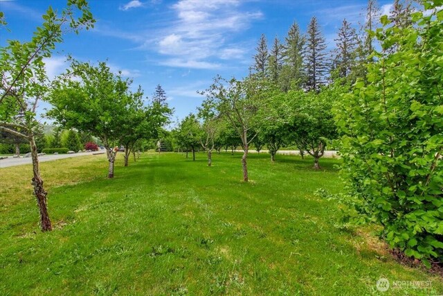 34228 310th Pl NE, Arlington, WA 98223 - photo 31