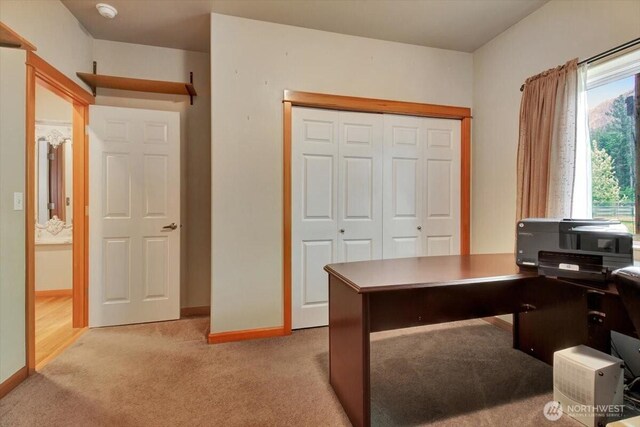 34228 310th Pl NE, Arlington, WA 98223 - photo 19