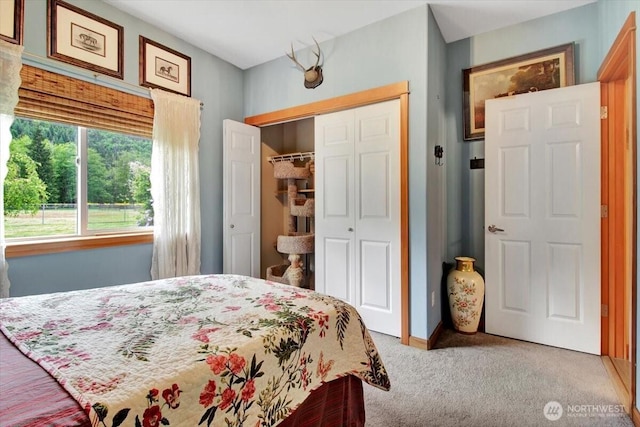 34228 310th Pl NE, Arlington, WA 98223 - photo 21