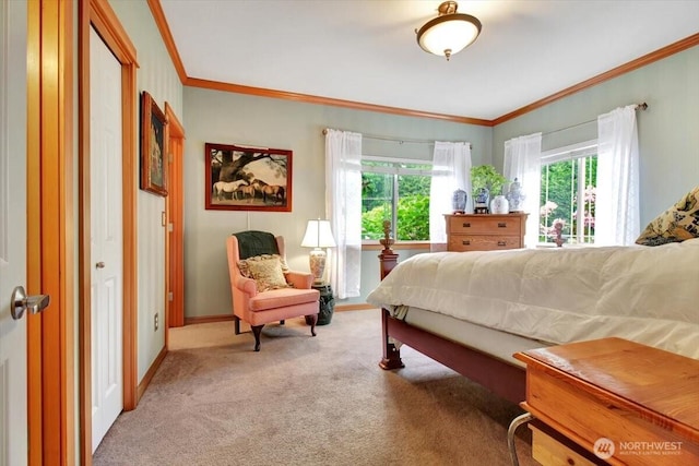 34228 310th Pl NE, Arlington, WA 98223 - photo 23