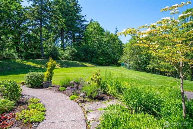 1259 Insel Rd, Woodland, WA 98674 - view of green lawn