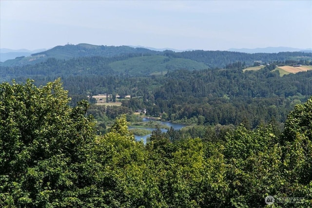 1259 Insel Rd, Woodland, WA 98674 - mountain view featuring a forest and a nearby body of water
