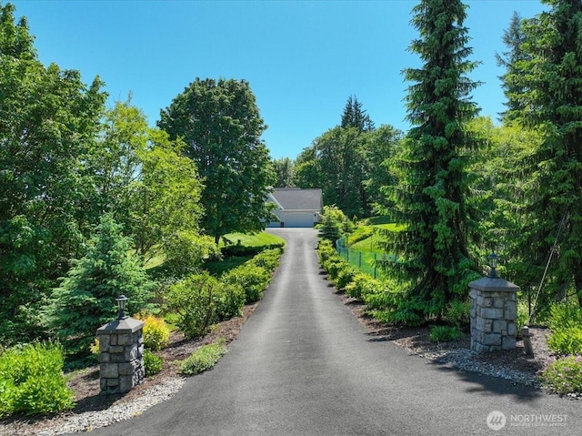 1259 Insel Rd, Woodland, WA 98674 - view of asphalt driveway