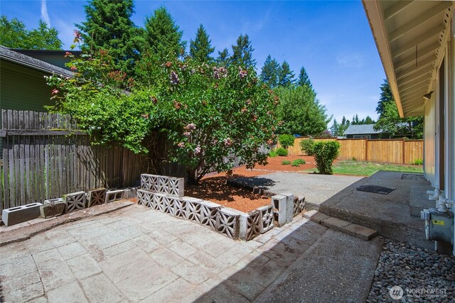 14210 NE 63rd Ct, Redmond, WA 98052 - fenced backyard with a patio