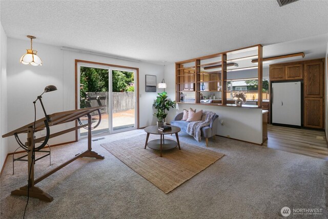 14210 NE 63rd Ct, Redmond, WA 98052 - carpeted living area featuring plenty of natural light and a textured ceiling