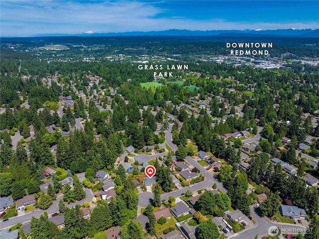 14210 NE 63rd Ct, Redmond, WA 98052 - aerial view of a mountainous background