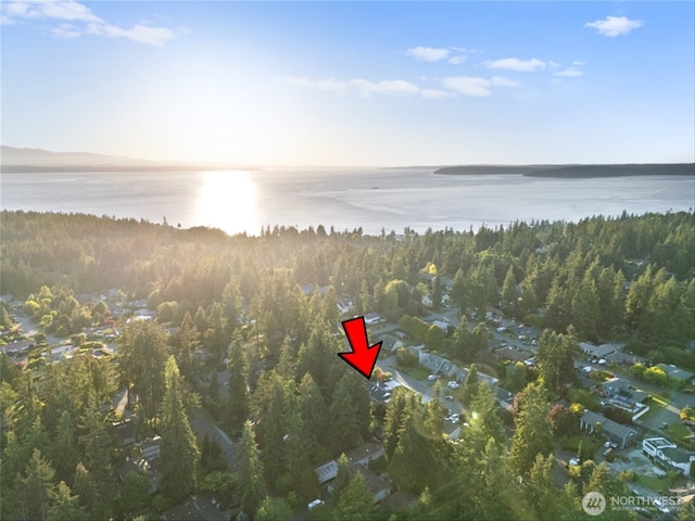 7118 177th St SW, Edmonds, WA 98026 - aerial view of property and surrounding area with a large body of water and a forest