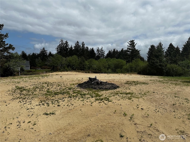 31010 Sandridge Rd, Oysterville, WA 98640 - photo 2