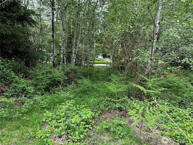 31010 Sandridge Rd, Oysterville, WA 98640 - photo 3