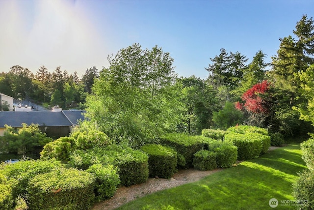 14513 127th Ln NE Unit N46, Kirkland, WA 98034 - view of green lawn