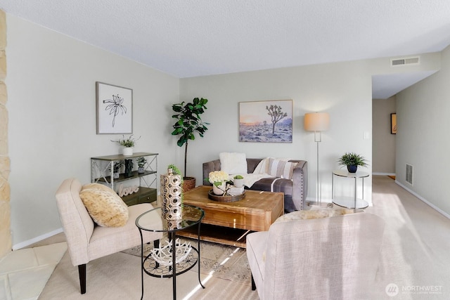 14513 127th Ln NE Unit N46, Kirkland, WA 98034 - living room with baseboards and a textured ceiling