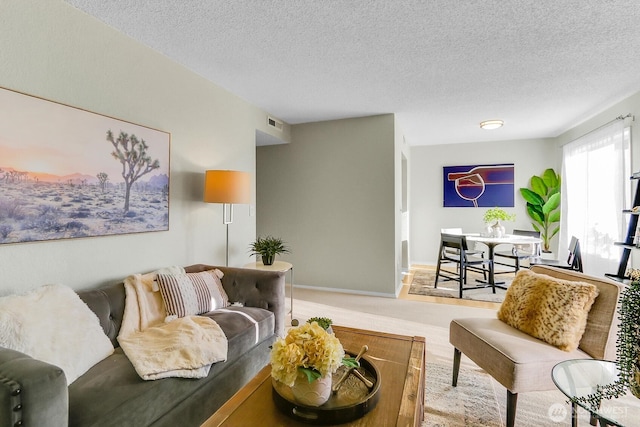 14513 127th Ln NE Unit N46, Kirkland, WA 98034 - living room featuring a textured ceiling