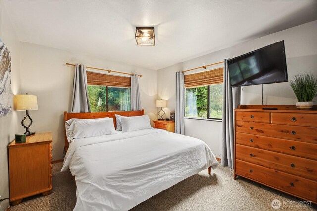 1051 Yellowstone, Snoqualmie Pass, WA 98068 - bedroom featuring carpet floors