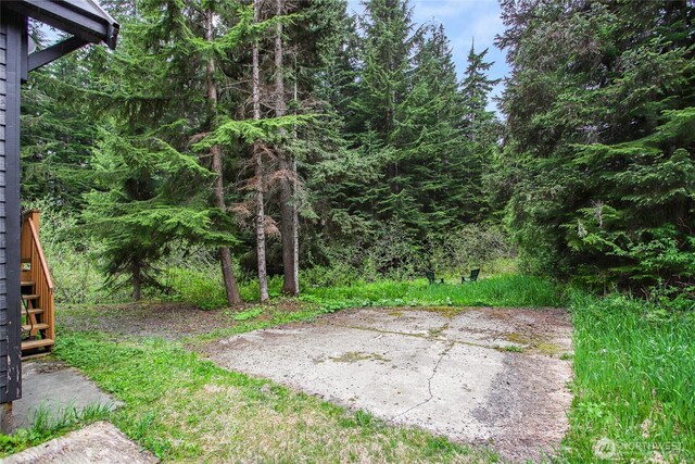 1051 Yellowstone, Snoqualmie Pass, WA 98068 - view of yard featuring stairway and a patio