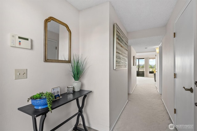 655 Main St Unit 304, Edmonds, WA 98020 - hallway with light carpet, baseboards, and a textured ceiling