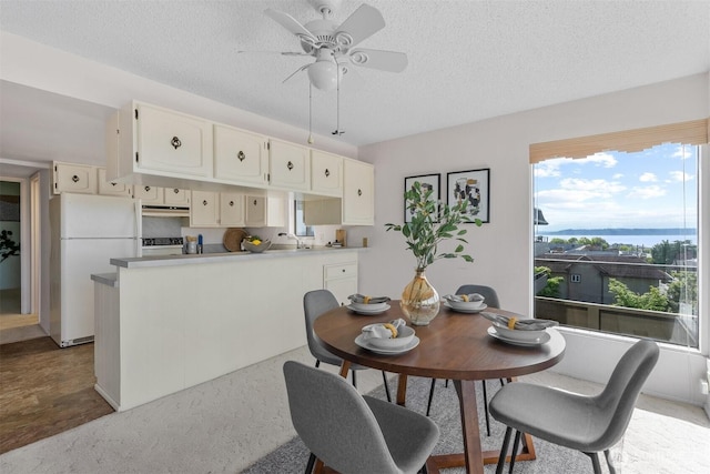 655 Main St Unit 304, Edmonds, WA 98020 - dining area featuring a ceiling fan, a textured ceiling, and a water view