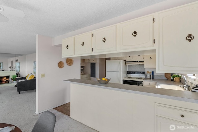 655 Main St Unit 304, Edmonds, WA 98020 - kitchen with white appliances, a sink, light colored carpet, a peninsula, and a textured ceiling
