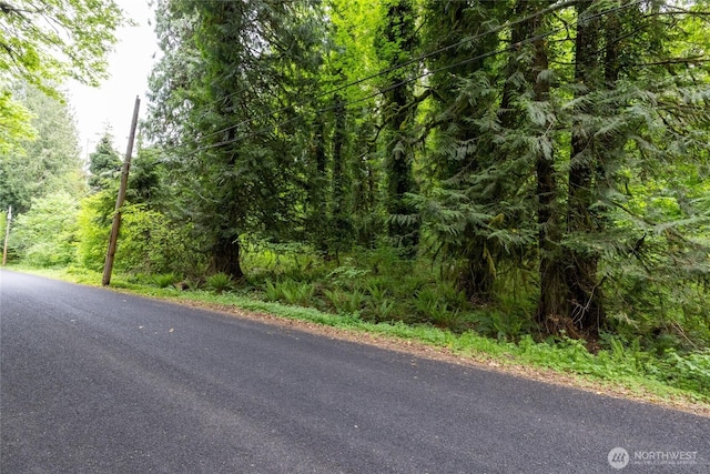 24118 177th St E, Orting, WA 98360 - photo 3