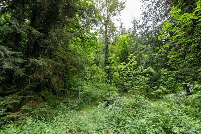 24118 177th St E, Orting, WA 98360 - photo 4