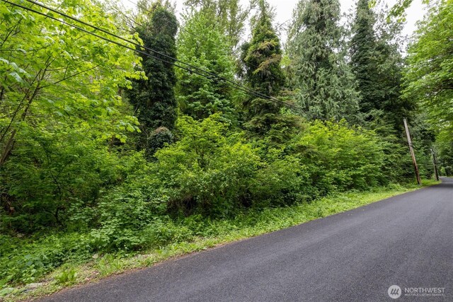 24118 177th St E, Orting, WA 98360 - photo 5