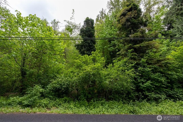 24118 177th St E, Orting, WA 98360 - photo 6
