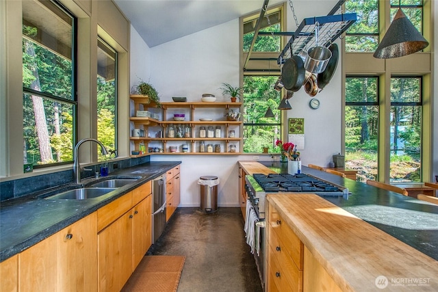 808 Pioneer Hill Rd, Orcas Island, WA 98279 - kitchen with appliances with stainless steel finishes, open shelves, a sink, butcher block counters, and lofted ceiling