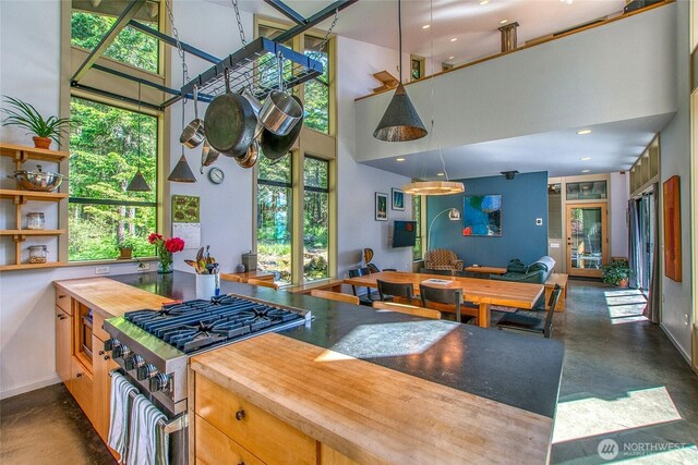 808 Pioneer Hill Rd, Orcas Island, WA 98279 - kitchen with gas range, finished concrete flooring, a towering ceiling, baseboards, and open floor plan