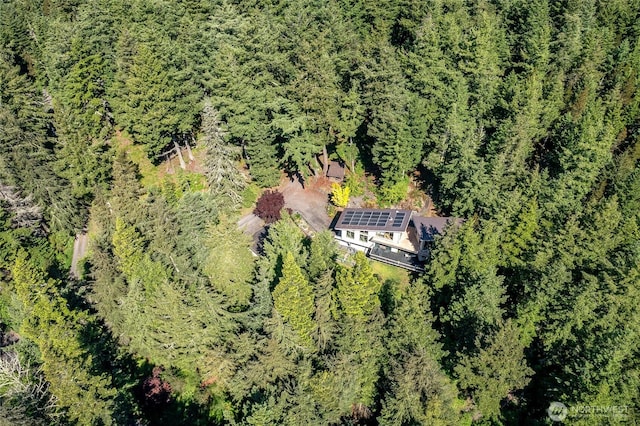 808 Pioneer Hill Rd, Orcas Island, WA 98279 - view from above of property with a forest