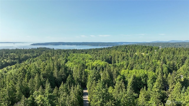 22470 Sunridge Way NE, Poulsbo, WA 98370 - mountain view featuring a forest and a nearby body of water