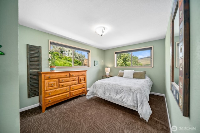 1901 Sleepy Hollow Rd, Wenatchee, WA 98801 - bedroom with baseboards, multiple windows, and dark carpet
