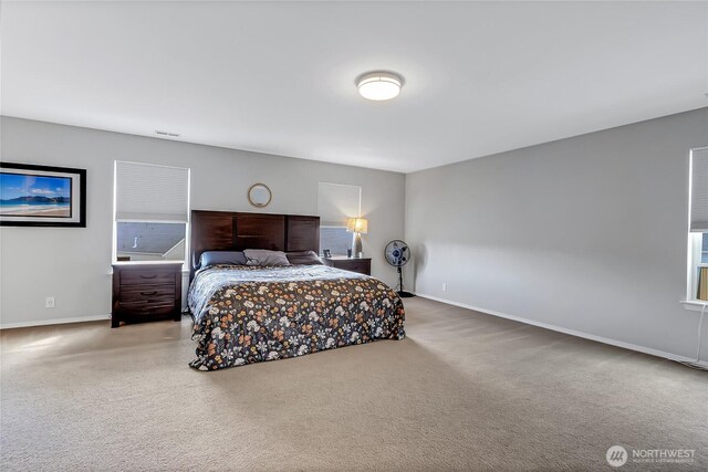 17808 114th Street Ct E, Bonney Lake, WA 98391 - photo 13