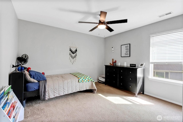 17808 114th Street Ct E, Bonney Lake, WA 98391 - photo 18