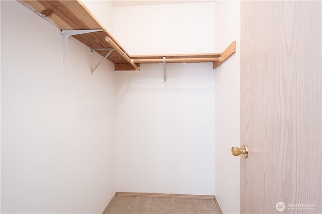 5419 N Court St, Ruston, WA 98407 - walk in closet featuring carpet