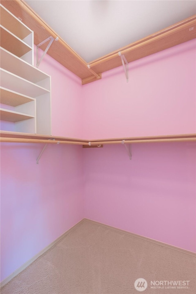 5419 N Court St, Ruston, WA 98407 - spacious closet featuring carpet flooring