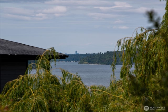 5419 N Court St, Ruston, WA 98407 - water view