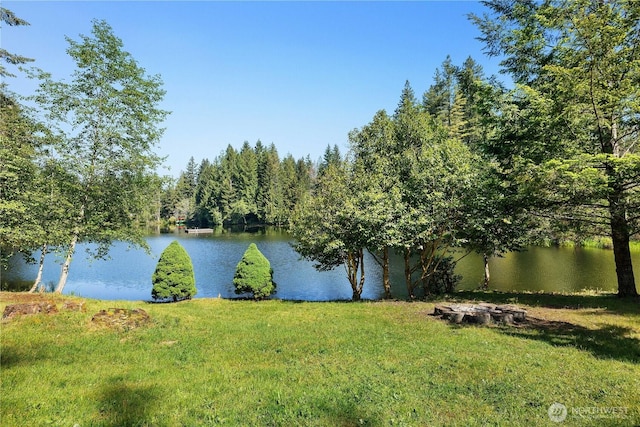 51 E Glamis Ct, Shelton, WA 98584 - water view