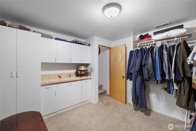 51 E Glamis Ct, Shelton, WA 98584 - spacious closet featuring light carpet
